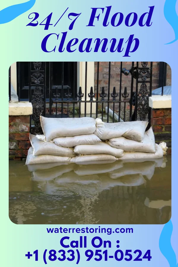 24/7 Flood Cleanup in Ortonville, MN