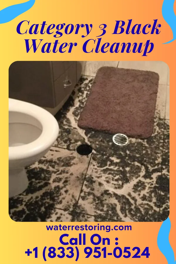 Category 3 Black Water Cleanup in Ortonville, MN