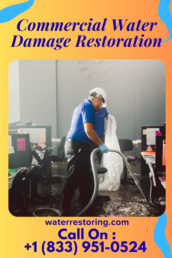 Commercial Water Damage Restoration in Ortonville, MN
