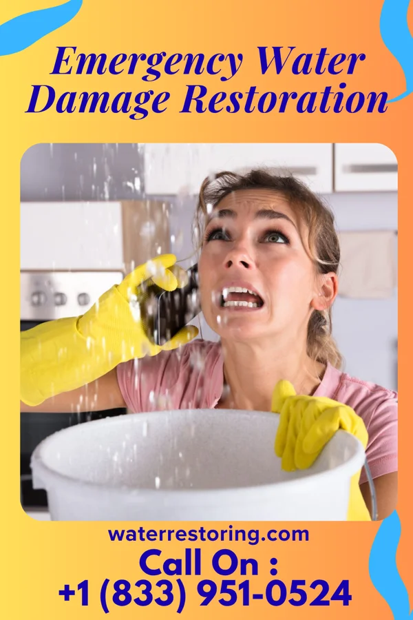 Emergency Water Damage Restoration in Ortonville, MN