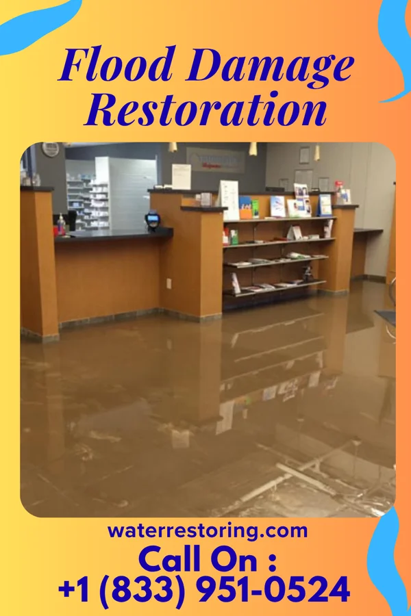 Flood Damage Restoration in Ortonville, MN