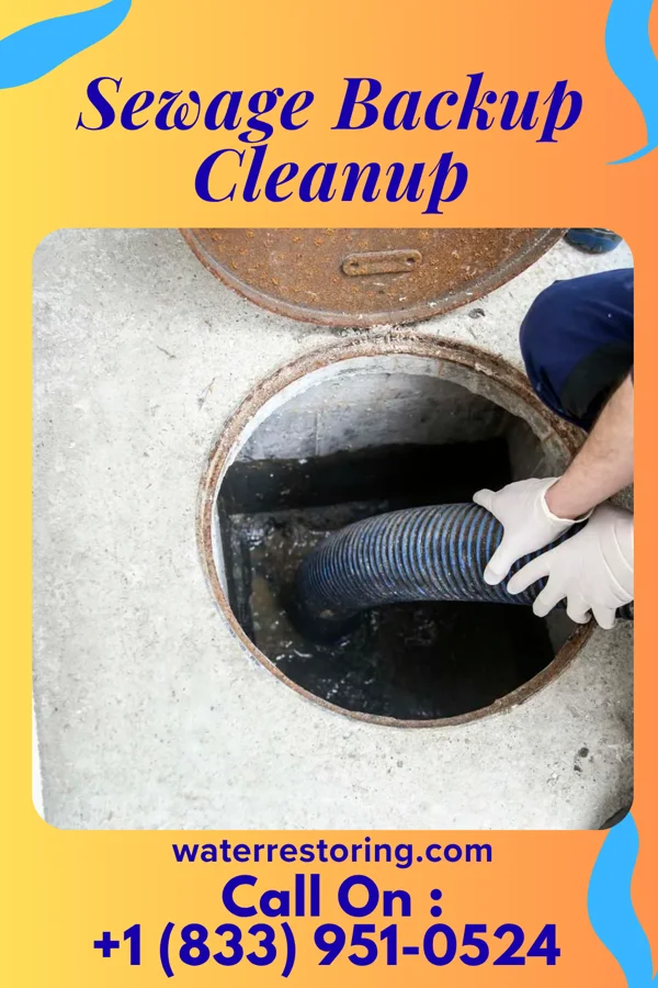 Sewage Backup Cleanup in Ortonville, MN