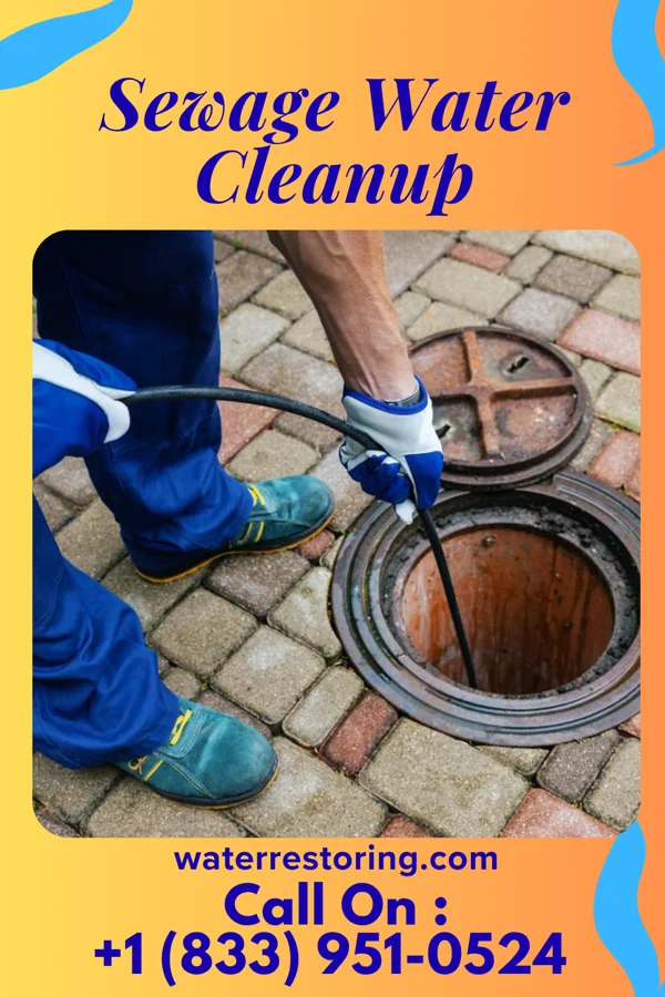 Sewage Water Cleanup in Ortonville, MN